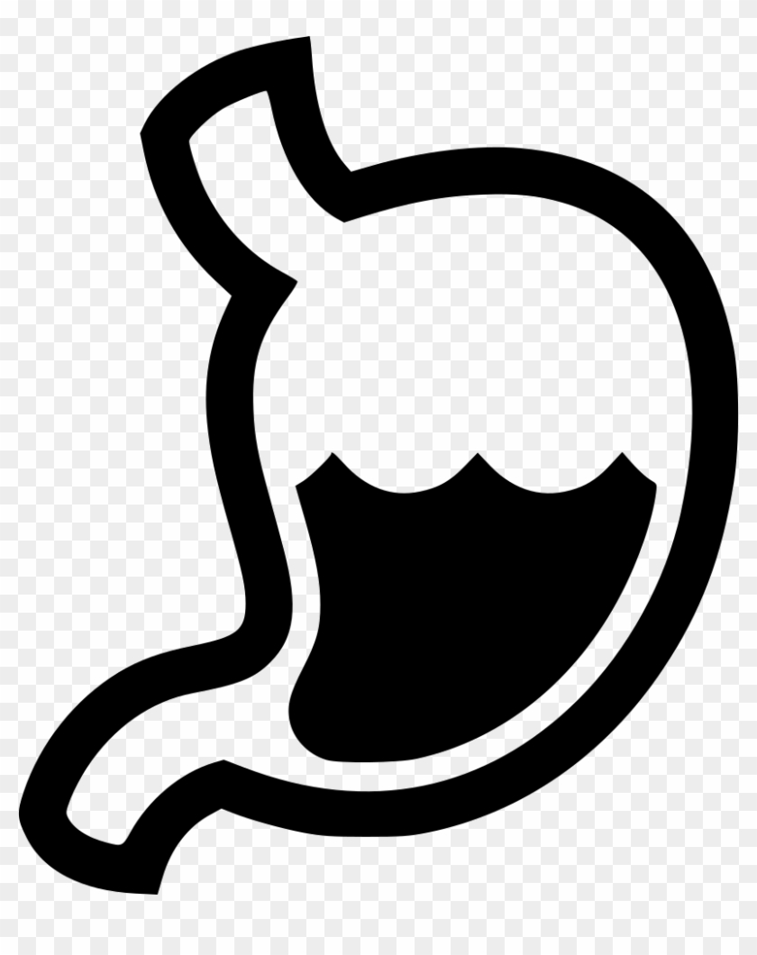 Stomach Digestion Gastritis Organ Gastroenterologist - Improved Digestion Icon #1715177