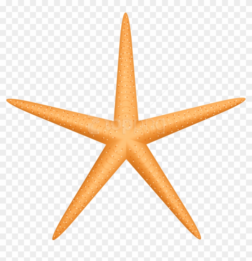 Free Png Download Yellow Starfish Clipart Png Photo - Vehículos Automotores Mexicanos #1715235