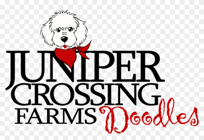 Juniper Crossing Farms - Joelle #1717855