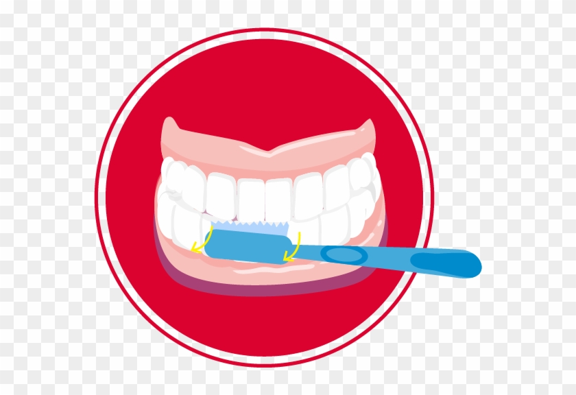 Se Debe Tratar De Conseguir Que El Cepillado Dure Dos - Se Debe Tratar De Conseguir Que El Cepillado Dure Dos #1719386