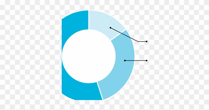 Awareness Of Chinese Overseas Business Policies And - Circle #1720009