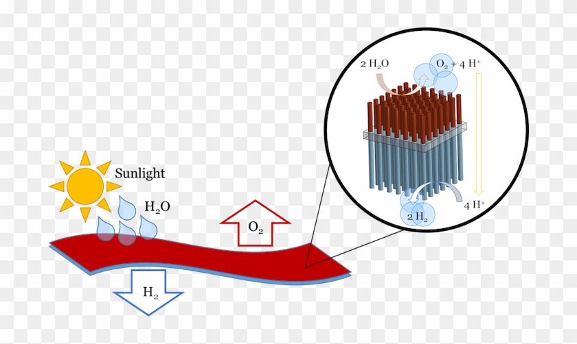 Artificial Turf Could Convert Water And Sunlight Into - Diagram #1720863