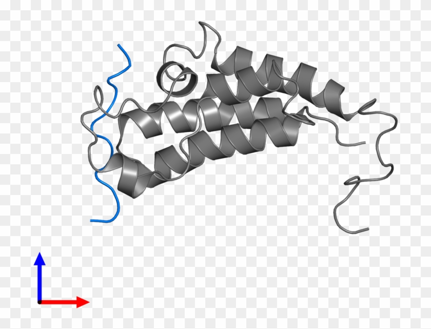 <div Class='caption-body'>pdb Entry 2mjv Contains 1 - Sketch #1724228