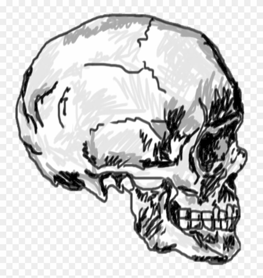 Drawn Skull Transparent Skull - Drawing #1726241