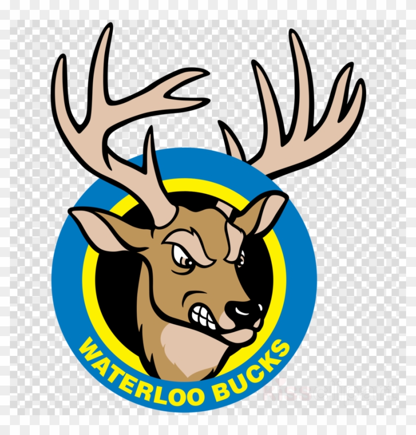 Waterloo Bucks Clipart Waterloo Bucks Waterloo Riverfront - Waterloo Bucks Logo #1727387