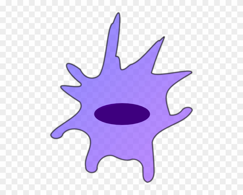 Macrophage Clipart #1729788