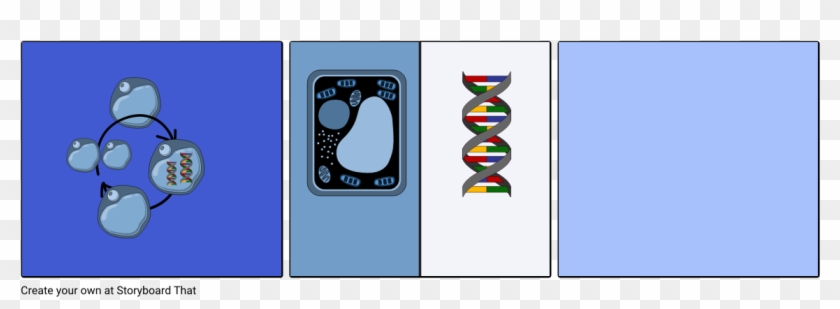 Dna And Cell Cycle By Victor And Abel - Graphic Design #1730202