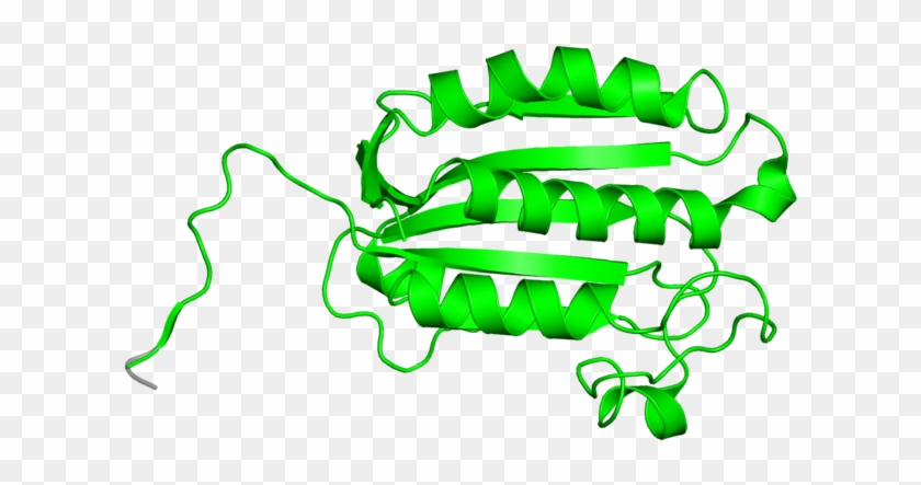 <div Class='caption-body'>1 Copy Of Cath Domain < - Illustration #1730203