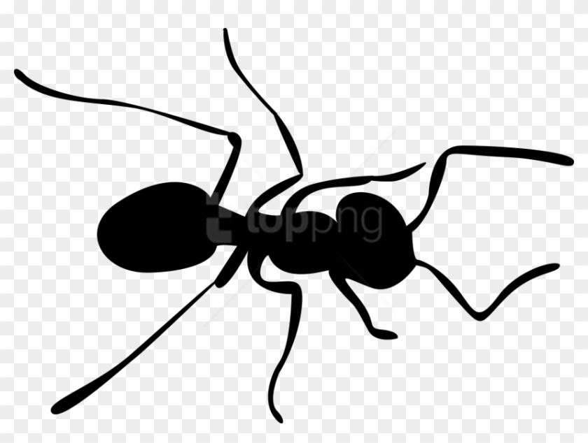 Free Png Images - Ant Clipart Png #1731523