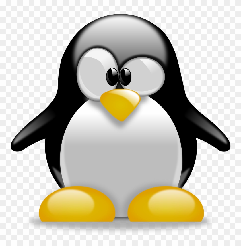 Base Clip Art Download - Pinguino De Tux Typing #262865