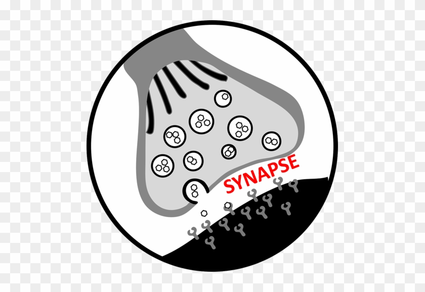 Science Shows Complaining Rewires The Brain To Be Negative - Synapse Clipart #1734197