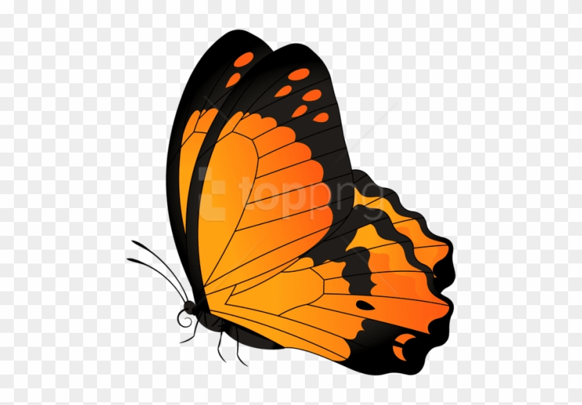 Free Png Download Butterfly Orange Transparent Clipart - Pink And Blue Butterfly Clipart #1738203