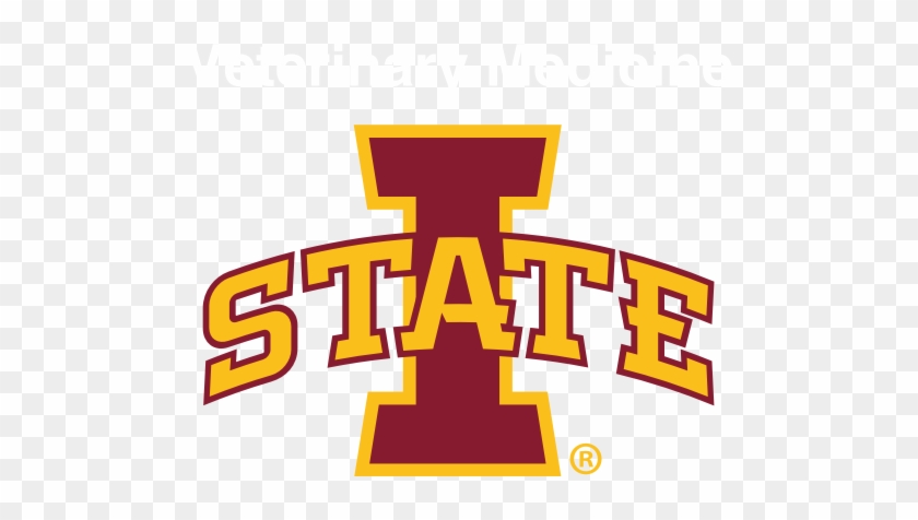 Iowa State Cyclones Logo Png #1739819