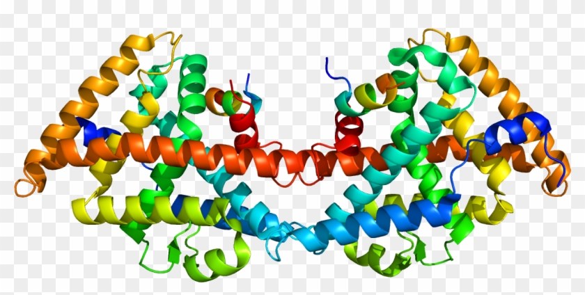 Protein Heterodimer #1741081