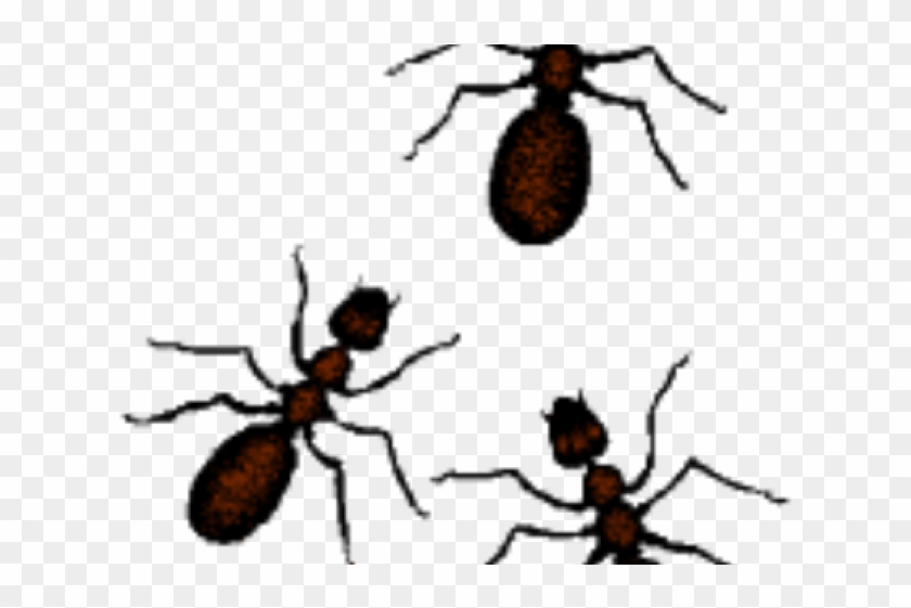 Ant Clipart Invertebrate - Cartoon Ants #1741156