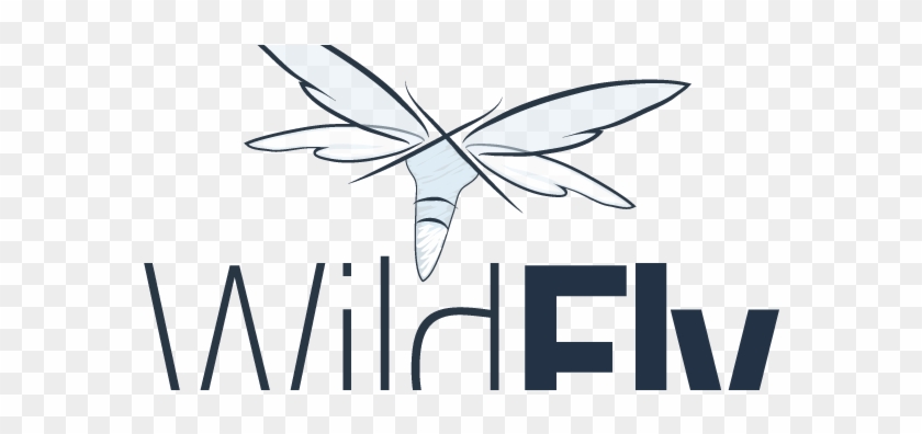 Making Javaee Ecosystem Work - Wildfly Png #1744080