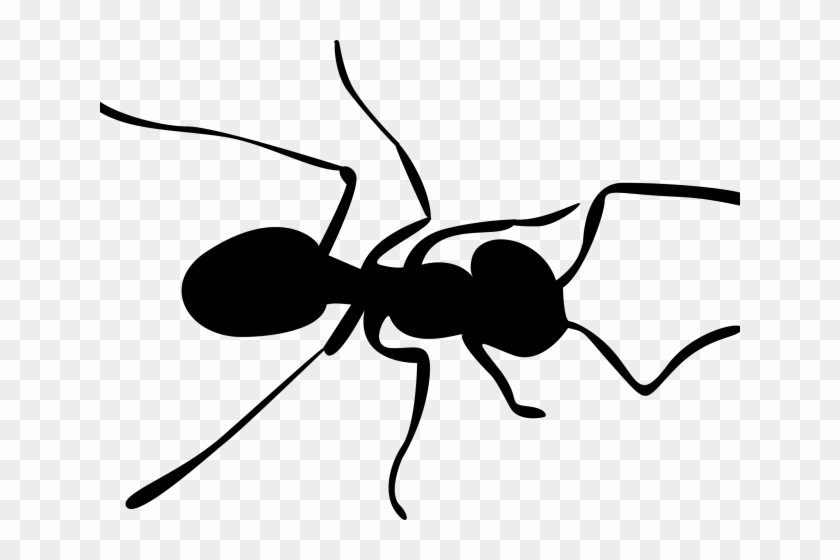 Ant Clipart Big Ant - Ant Clipart Transparent Background #1744290