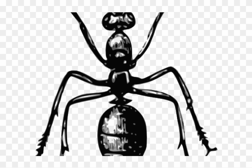 Ant Clipart Gambar - Ant #1744312