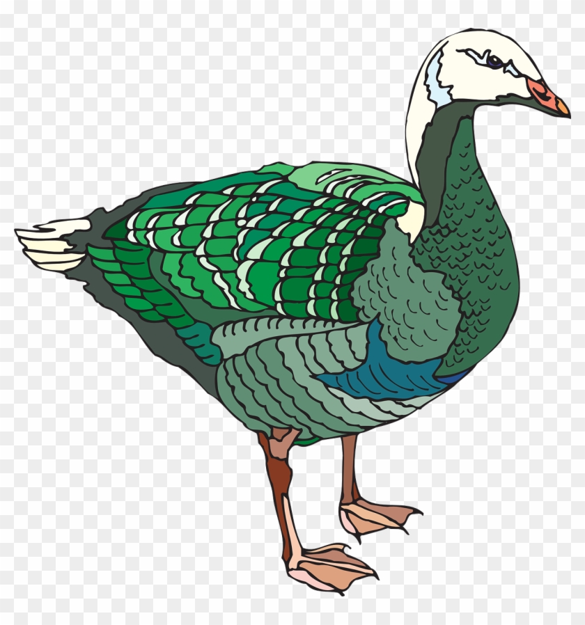 Green Feet White - Green Geese Art #1747745