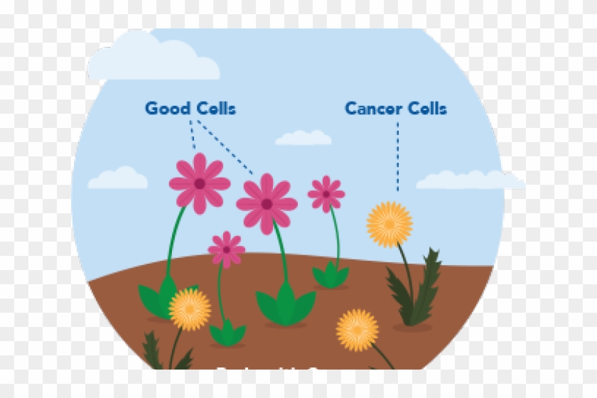 Cancer Clipart Body Cell - Chrysanths #1748041