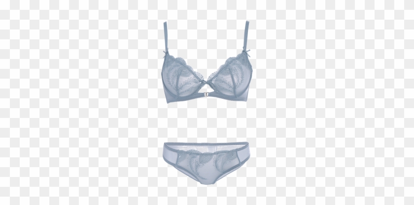 2018 Transparent Embroidered Ultra Thin Bra Set Blue - Lingerie Top #1749095