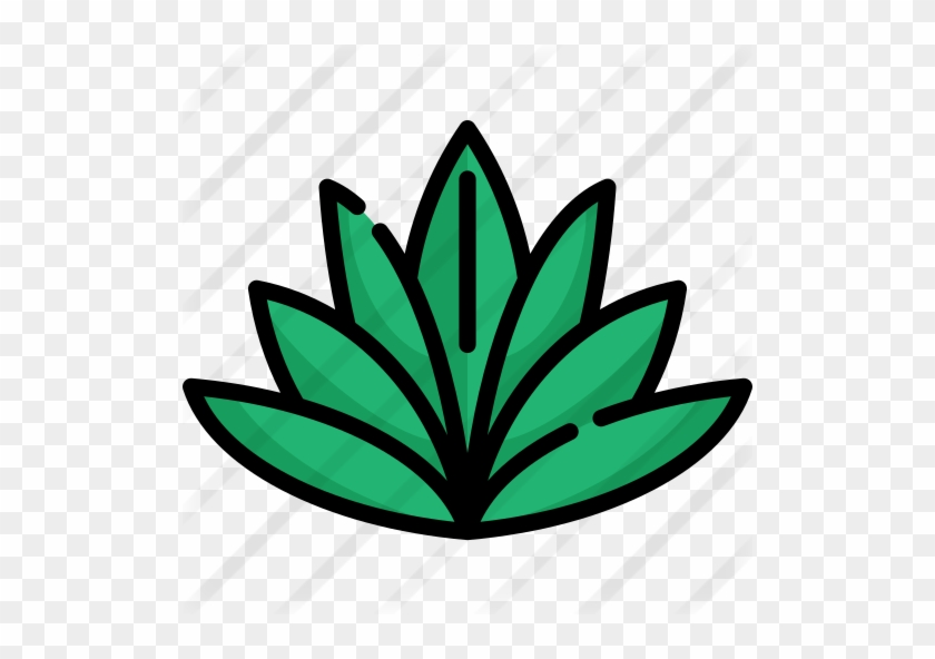 Agave Free Icon - Agave Free Icon #1750475