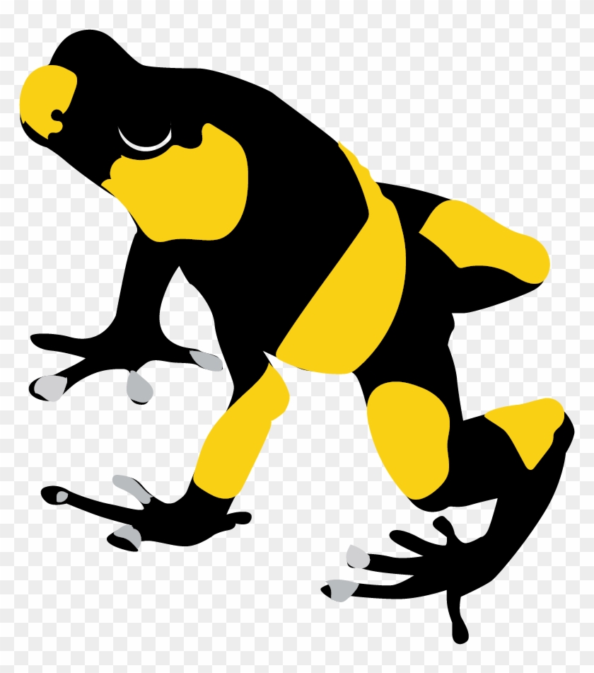 Lehmann's Poison Frog Diamond Sponsor - Illustration - Full Size PNG ...