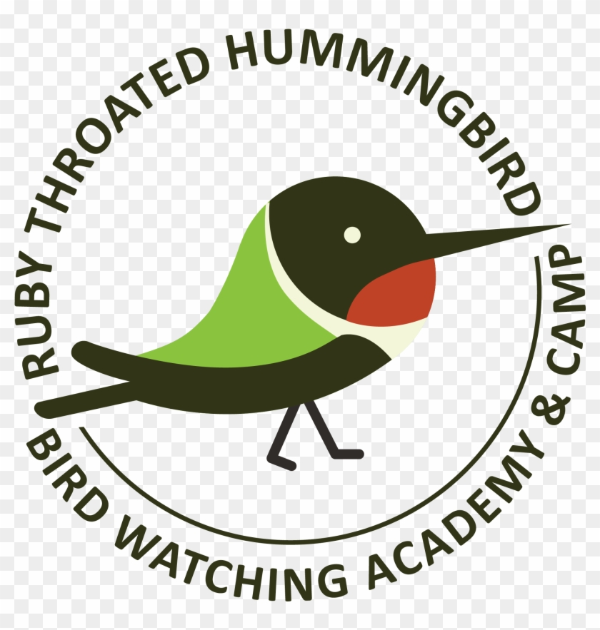 Ruby-throated Hummingbird - Gurukul - Free Transparent PNG Clipart ...