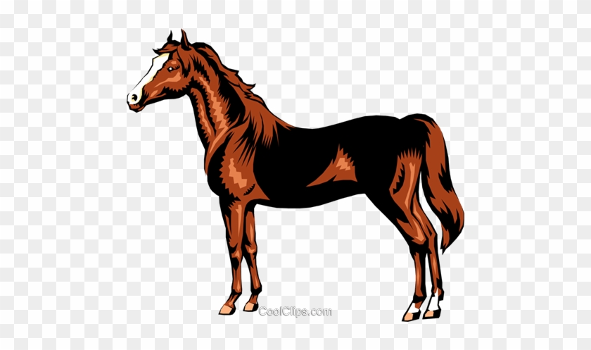 Horse Royalty Free Vector Clip Art Illustration - Sorrel #1755944