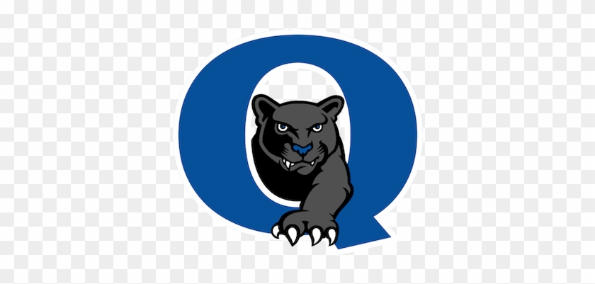 Qcsd - Quakertown Panthers #1757041