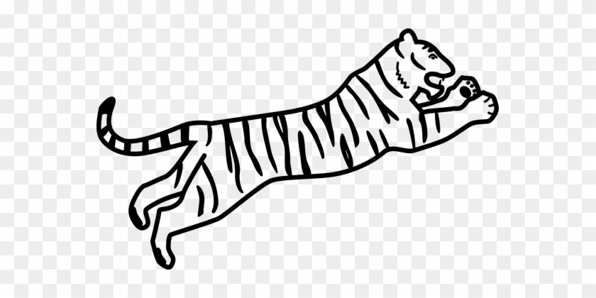 easy roaring tiger drawing