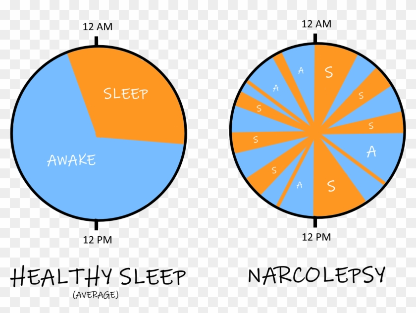 Waking Up To The Science Of Sleep - Circle #1759857