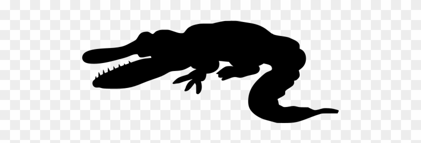 Info - Caiman Animado - Free Transparent PNG Clipart Images Download