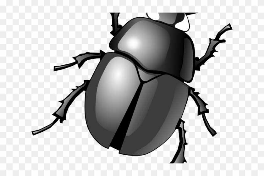Beetles Clipart Scarab - Bug Clipart Png #1762569