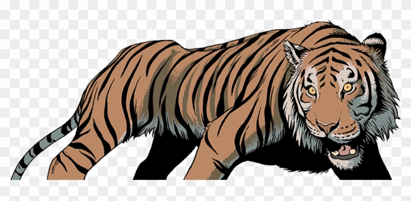 wild animals pictures tiger