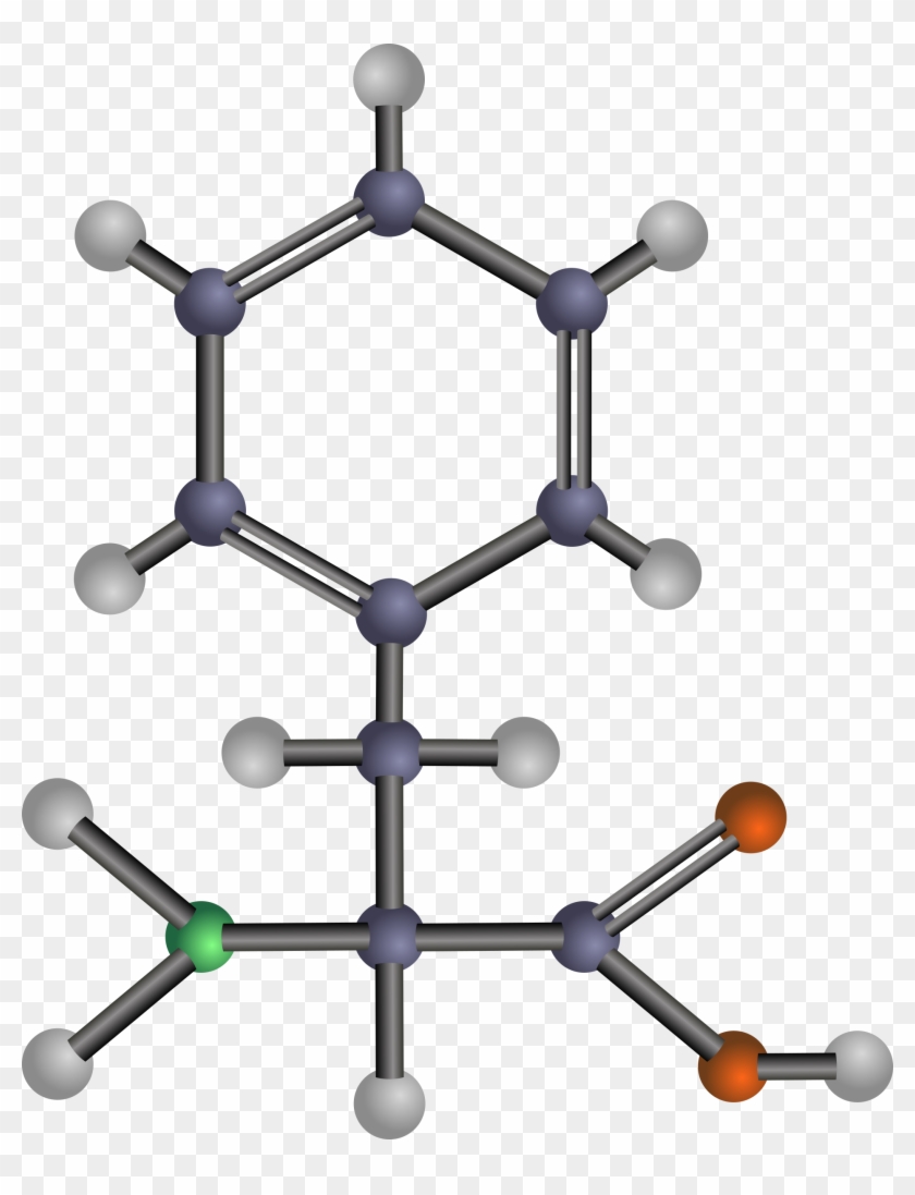 Phenylalanine - Phenylalanine #1763787