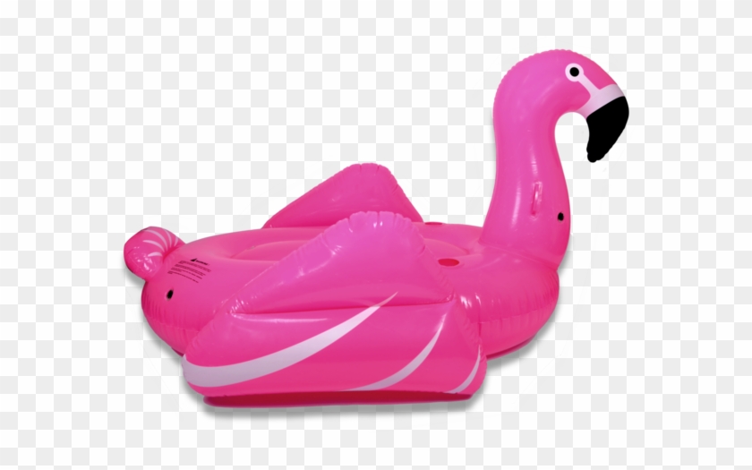 600 X 563 2 - Transparent Flamingo Float Png #1765790