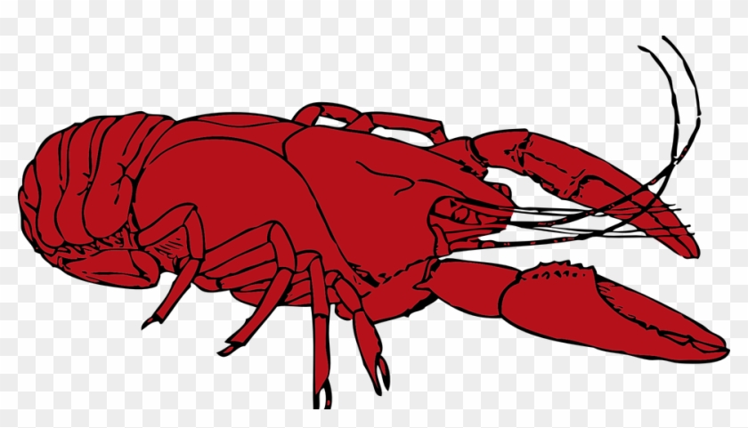 Crustacean Clipart - Crayfish Clipart #48442