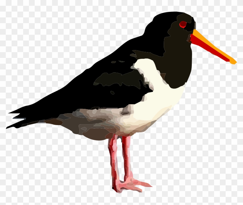 Standing Bird Png #49805