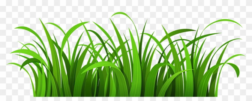 GRASS SVG Clipart Grass Green Grass Png Printable Grass | danielaboltres.de