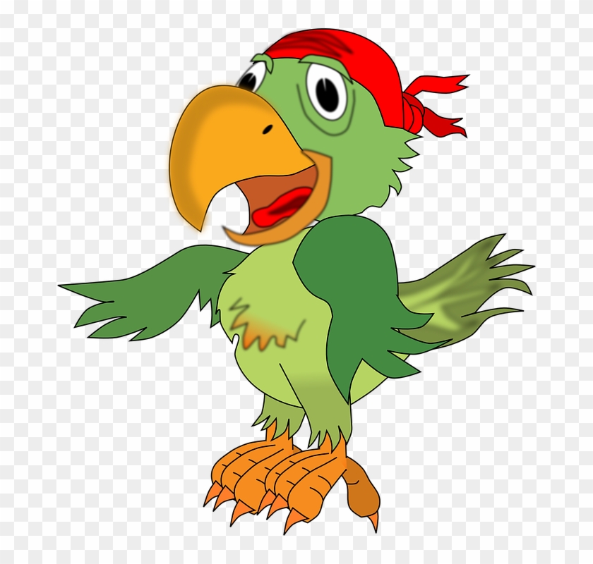 Pirate Free Images On Pixabay - Pirate Parrot Clip Art - Full Size PNG ...