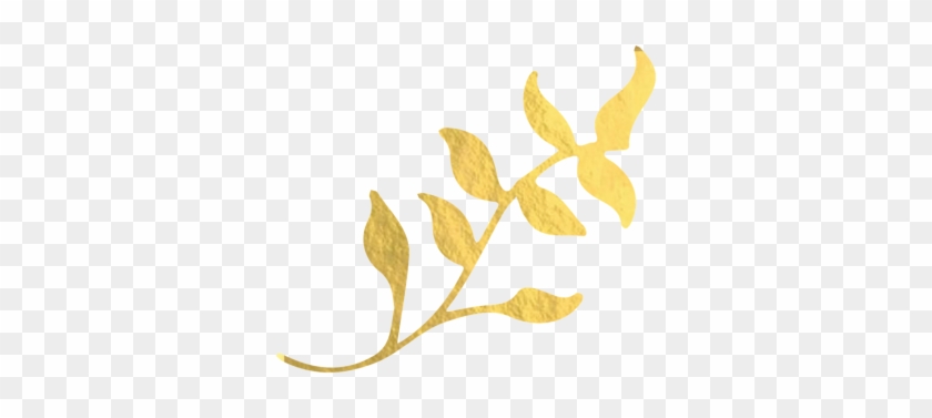 Gold Leaf Stem, Gold Leaf, Gold, Leaf Png And Psd - Gold Leaf Transparent Background #271713