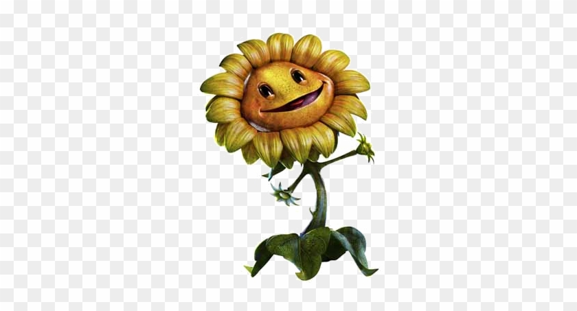 Sunflower Plants Vs Zombies png download - 1046*1167 - Free Transparent Plants  Vs Zombies Garden Warfare 2 png Download. - CleanPNG / KissPNG