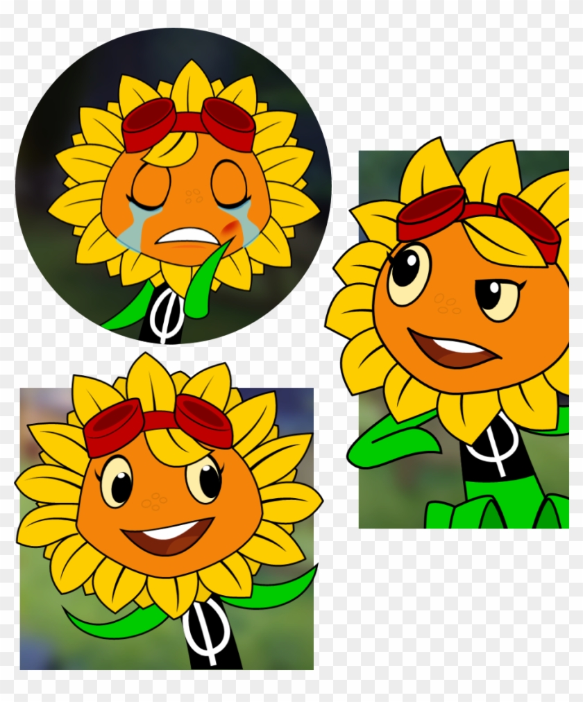 Solar Flare In-game By Ngtth - Plants Vs Zombies Anime Fanart - Free  Transparent PNG Clipart Images Download