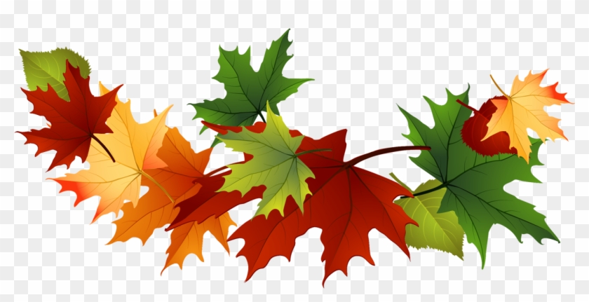 Autumn Maple Leaves clipart. Free download transparent .PNG