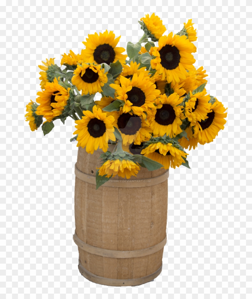 Sunflower Png Clipart Picture Sunflowers - Portable Network Graphics #272353