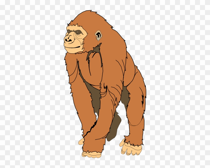 Monkey Clipart - Ape Clipart #272687