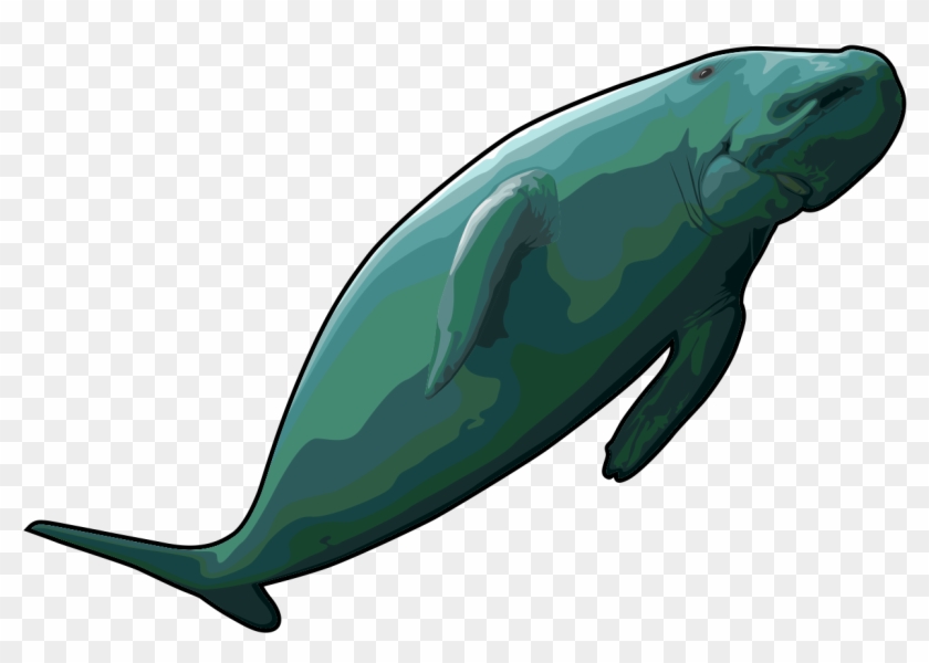 Free Whale Clipart Black And White - Stellers Sea Cow Clipart #272713