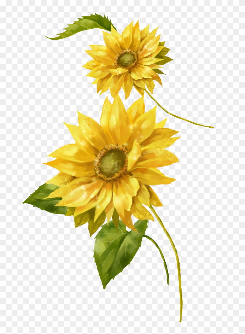 Common Sunflower Painting Yellow Euclidean Vector - Sunflower Polyester ...