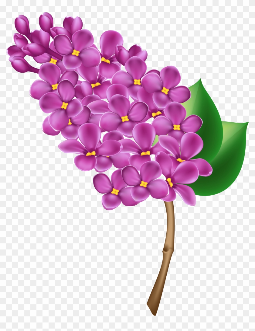 Purple Flower Clipart No Background - Purple Flower Clipart No ...